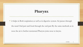 Pharynx
• it helps in Both respiration as well as in digestive system Air passes through
the nasal Oral part and food through the oral part By the same methods as in
nose the air is further moistened Pharynx joins nose to larynx.
3/25/2024 6
 