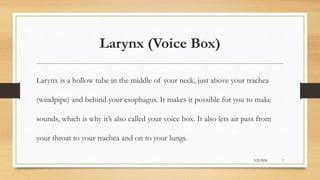 Larynx (Voice Box)
Larynx is a hollow tube in the middle of your neck, just above your trachea
(windpipe) and behind your esophagus. It makes it possible for you to make
sounds, which is why it’s also called your voice box. It also lets air pass from
your throat to your trachea and on to your lungs.
3/25/2024 7
 