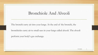 Bronchiole And Alveoli
The bronchi carry air into your lungs. At the end of the bronchi, the
bronchioles carry air to small sacs in your lungs called alveoli. The alveoli
perform your body's gas exchange.
3/25/2024 9
 