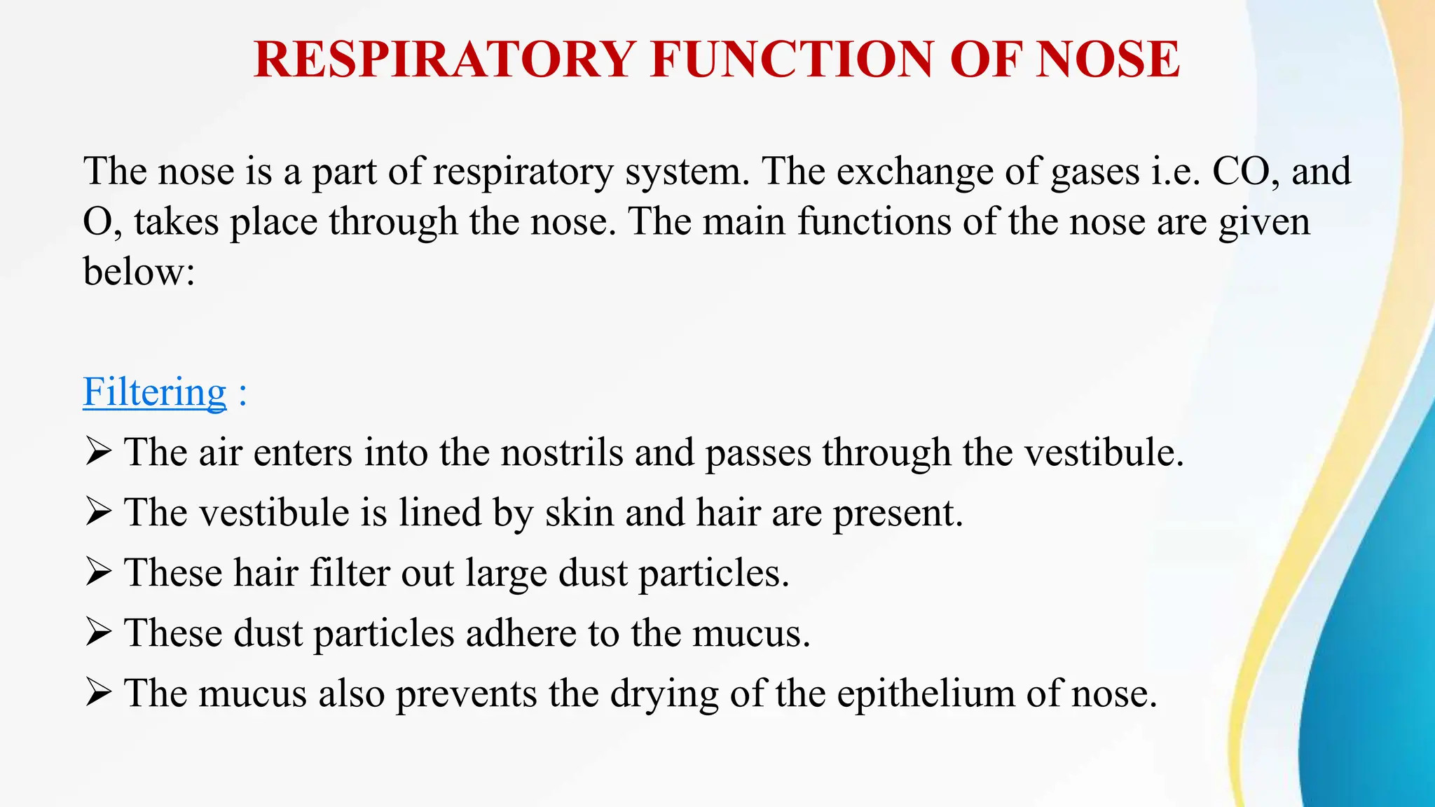 RESPIRATORY FUNCTION OF NOSE
The nose is a part of respiratory system. The exchange of gases i.e. CO, and
O, takes place through the nose. The main functions of the nose are given
below:
Filtering :
 The air enters into the nostrils and passes through the vestibule.
 The vestibule is lined by skin and hair are present.
 These hair filter out large dust particles.
 These dust particles adhere to the mucus.
 The mucus also prevents the drying of the epithelium of nose.
 