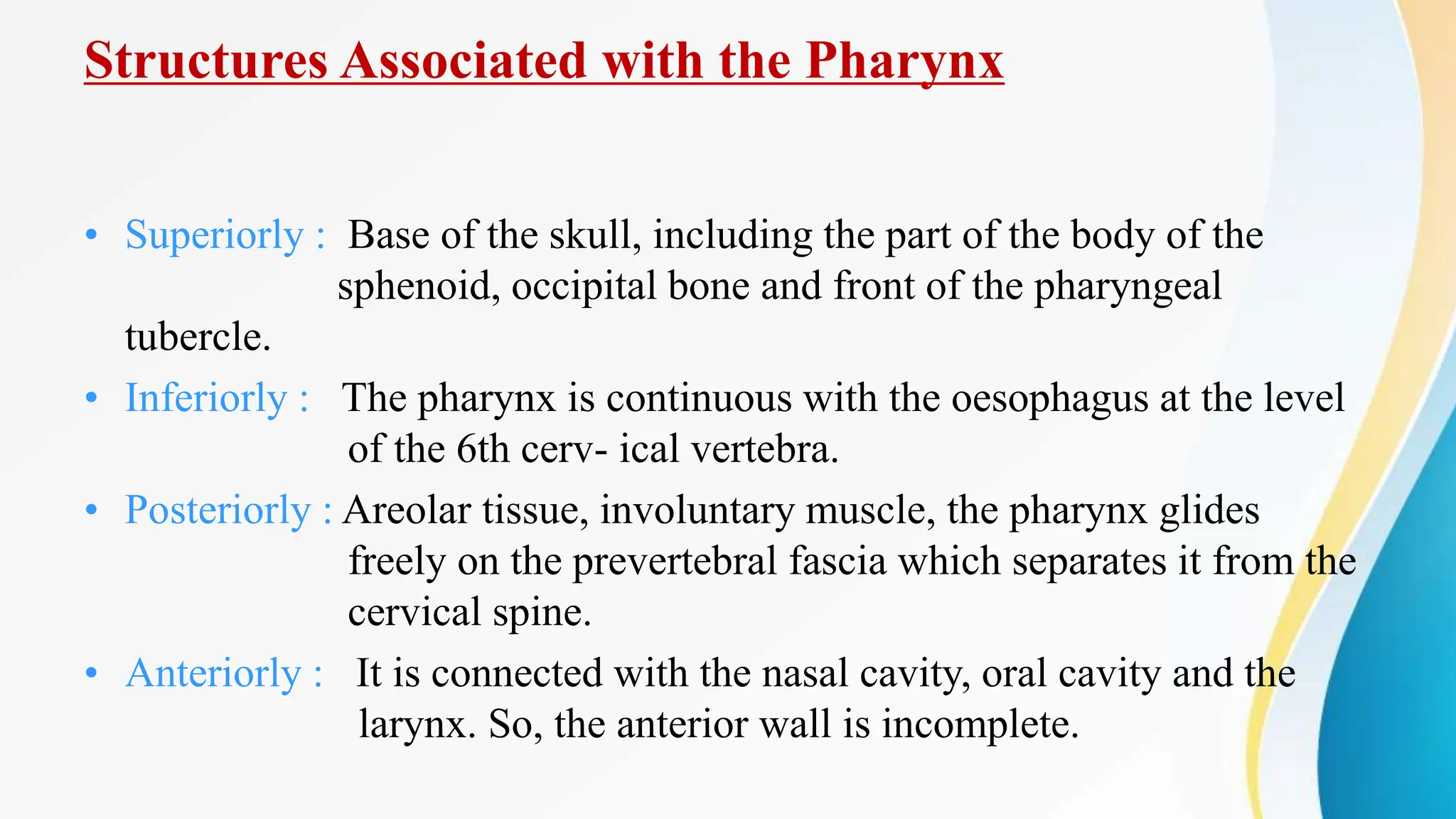 Structures Associated with the Pharynx
• Superiorly : Base of the skull, including the part of the body of the
sphenoid, occipital bone and front of the pharyngeal
tubercle.
• Inferiorly : The pharynx is continuous with the oesophagus at the level
of the 6th cerv- ical vertebra.
• Posteriorly : Areolar tissue, involuntary muscle, the pharynx glides
freely on the prevertebral fascia which separates it from the
cervical spine.
• Anteriorly : It is connected with the nasal cavity, oral cavity and the
larynx. So, the anterior wall is incomplete.
 