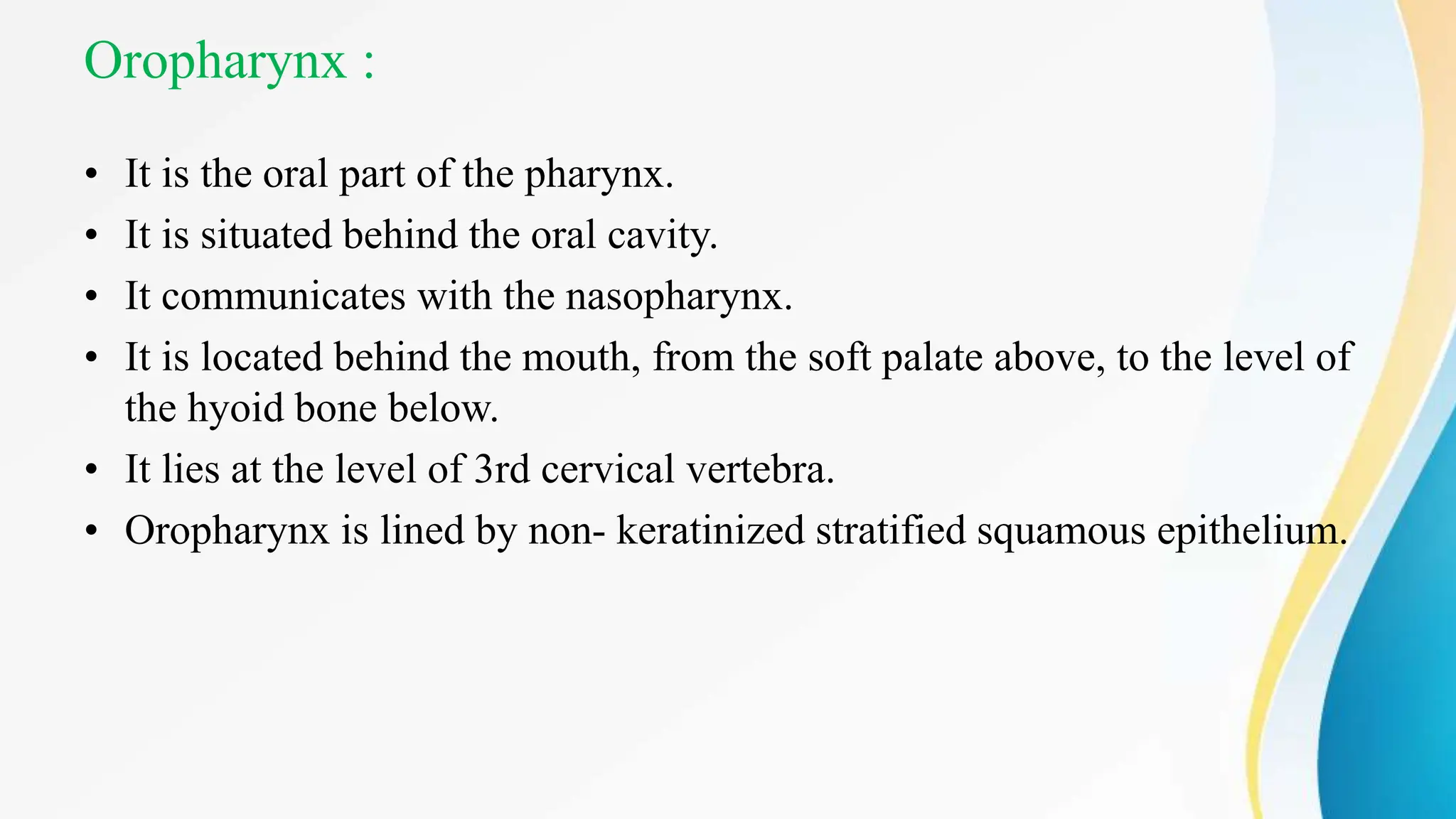 Oropharynx :
• It is the oral part of the pharynx.
• It is situated behind the oral cavity.
• It communicates with the nasopharynx.
• It is located behind the mouth, from the soft palate above, to the level of
the hyoid bone below.
• It lies at the level of 3rd cervical vertebra.
• Oropharynx is lined by non- keratinized stratified squamous epithelium.
 