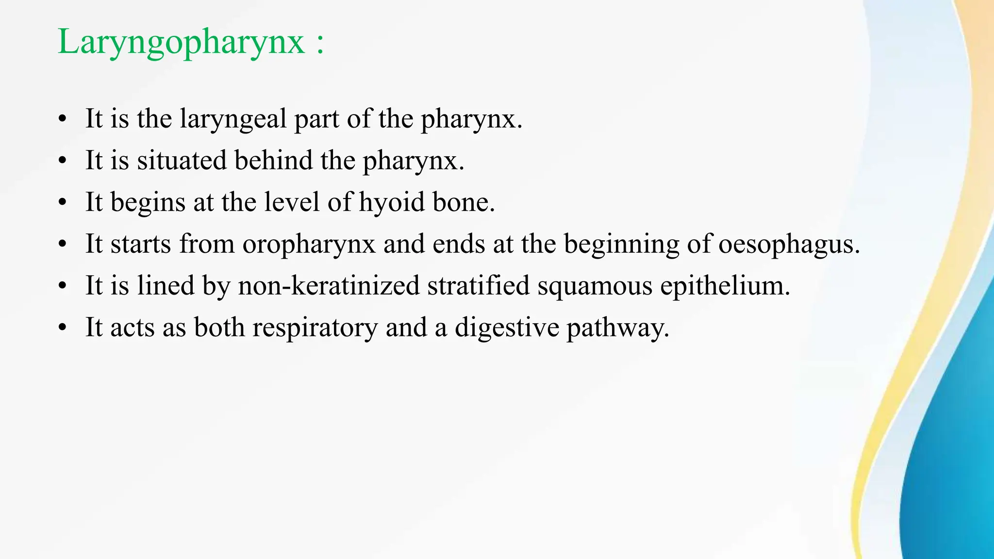 Laryngopharynx :
• It is the laryngeal part of the pharynx.
• It is situated behind the pharynx.
• It begins at the level of hyoid bone.
• It starts from oropharynx and ends at the beginning of oesophagus.
• It is lined by non-keratinized stratified squamous epithelium.
• It acts as both respiratory and a digestive pathway.
 