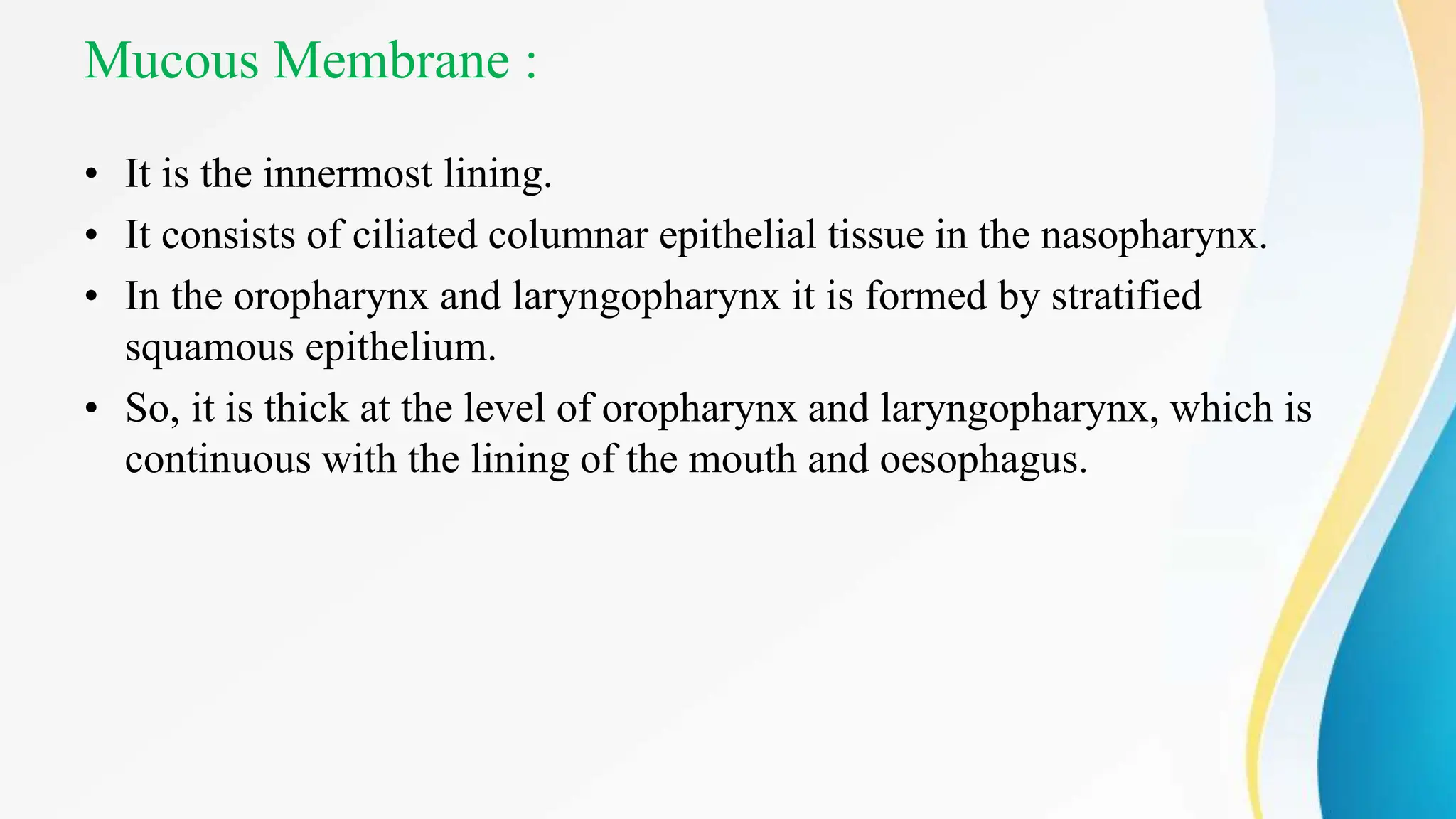 Mucous Membrane :
• It is the innermost lining.
• It consists of ciliated columnar epithelial tissue in the nasopharynx.
• In the oropharynx and laryngopharynx it is formed by stratified
squamous epithelium.
• So, it is thick at the level of oropharynx and laryngopharynx, which is
continuous with the lining of the mouth and oesophagus.
 