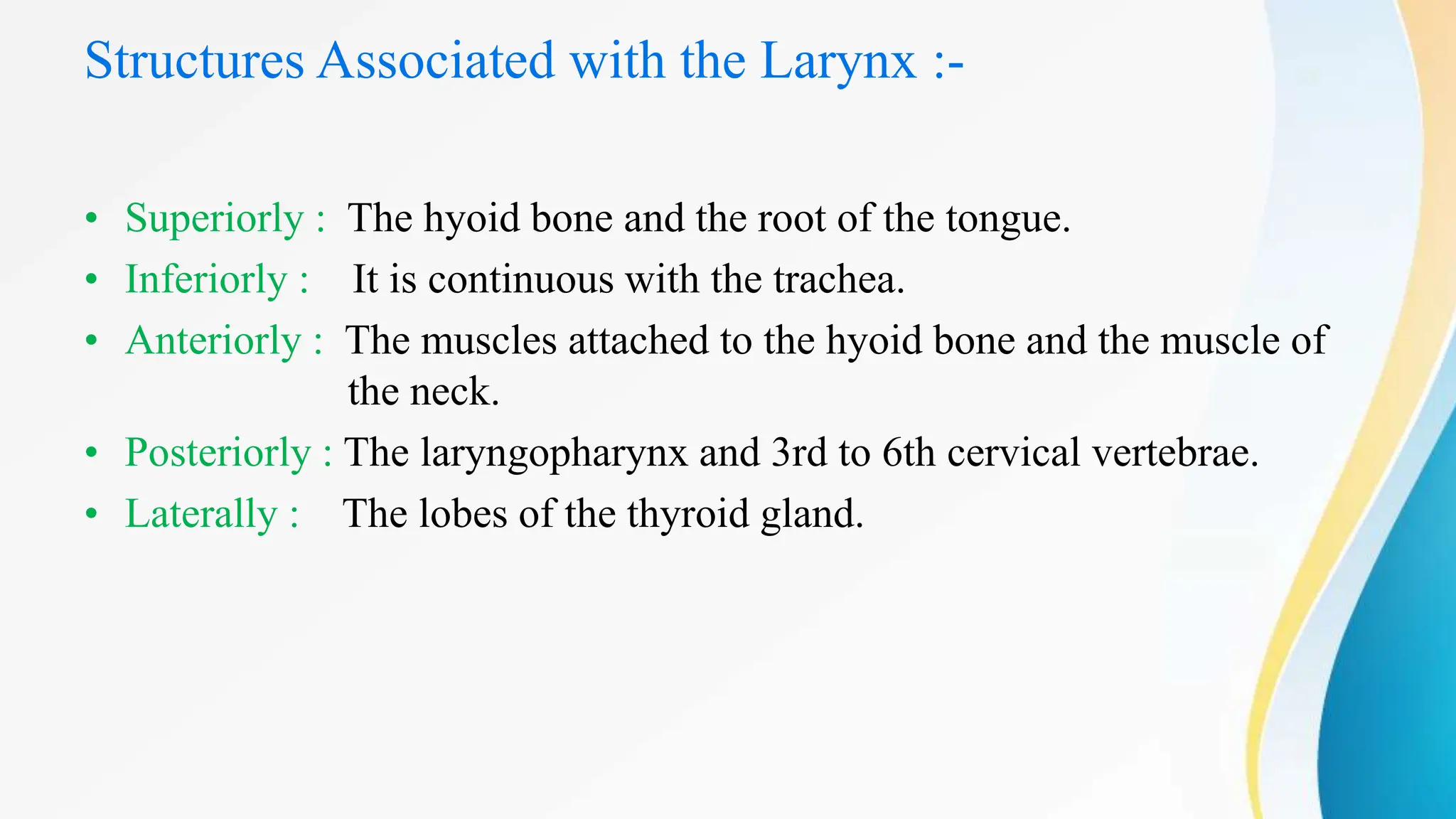 Structures Associated with the Larynx :-
• Superiorly : The hyoid bone and the root of the tongue.
• Inferiorly : It is continuous with the trachea.
• Anteriorly : The muscles attached to the hyoid bone and the muscle of
the neck.
• Posteriorly : The laryngopharynx and 3rd to 6th cervical vertebrae.
• Laterally : The lobes of the thyroid gland.
 