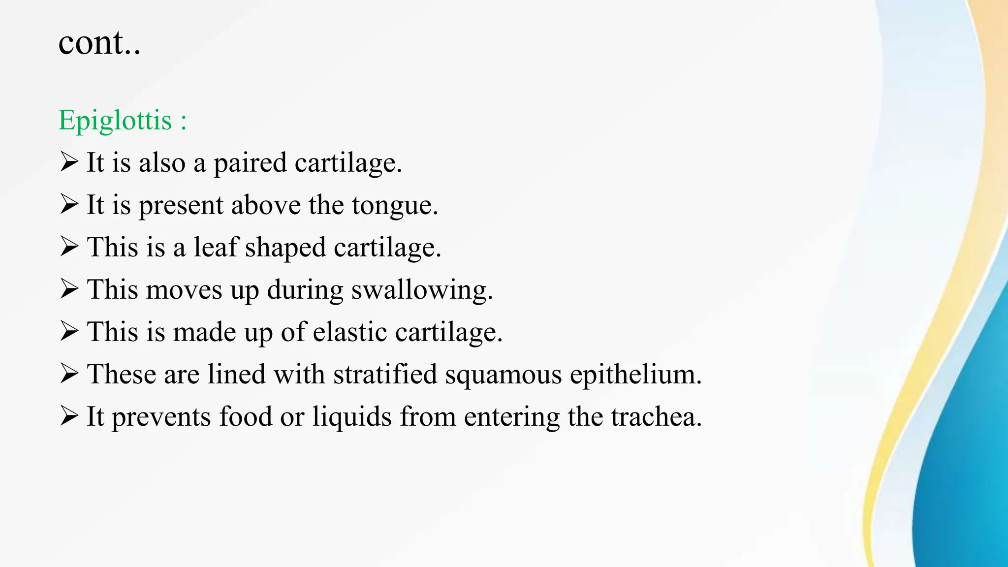 cont..
Epiglottis :
 It is also a paired cartilage.
 It is present above the tongue.
 This is a leaf shaped cartilage.
 This moves up during swallowing.
 This is made up of elastic cartilage.
 These are lined with stratified squamous epithelium.
 It prevents food or liquids from entering the trachea.
 