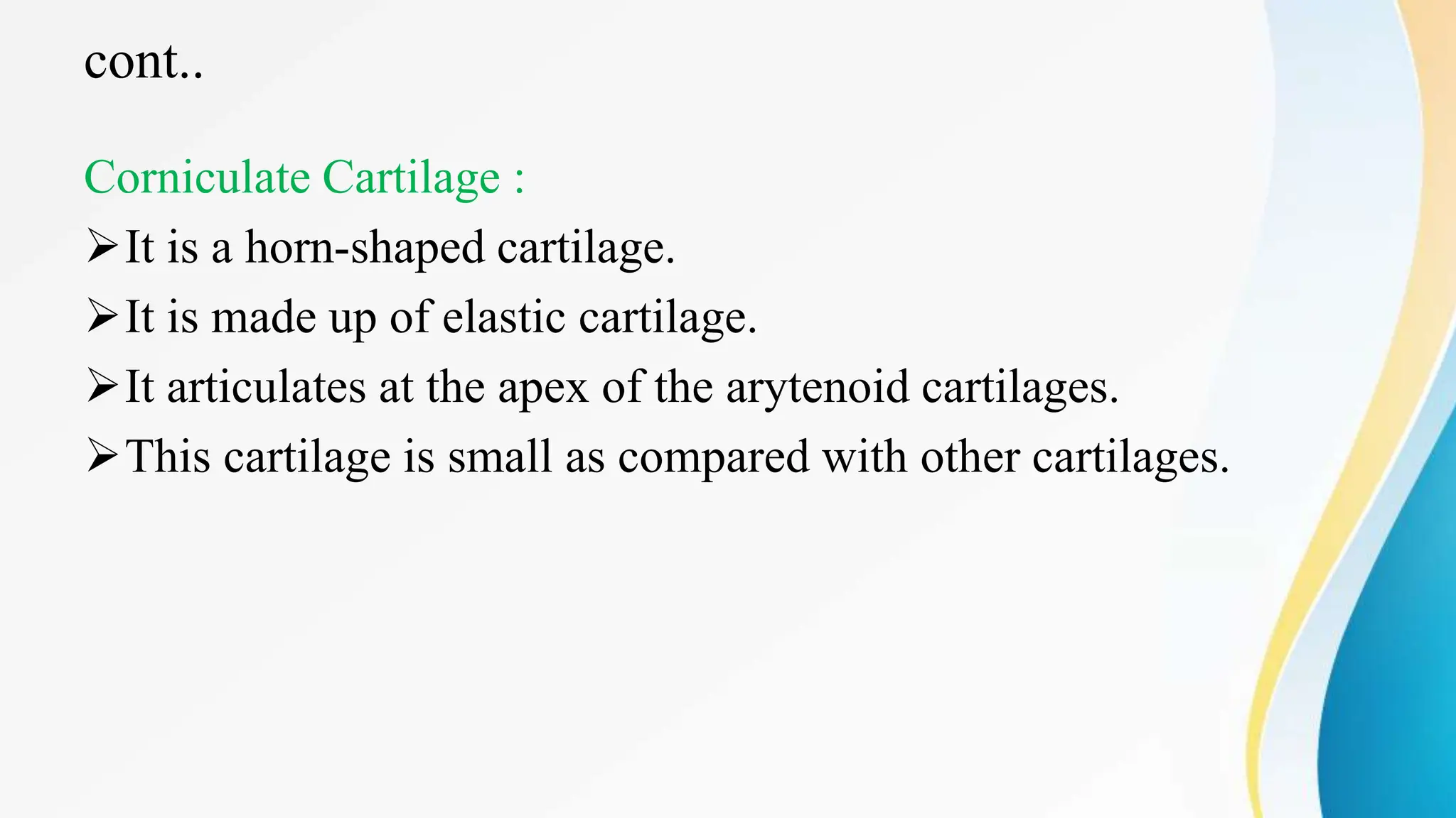 cont..
Corniculate Cartilage :
It is a horn-shaped cartilage.
It is made up of elastic cartilage.
It articulates at the apex of the arytenoid cartilages.
This cartilage is small as compared with other cartilages.
 
