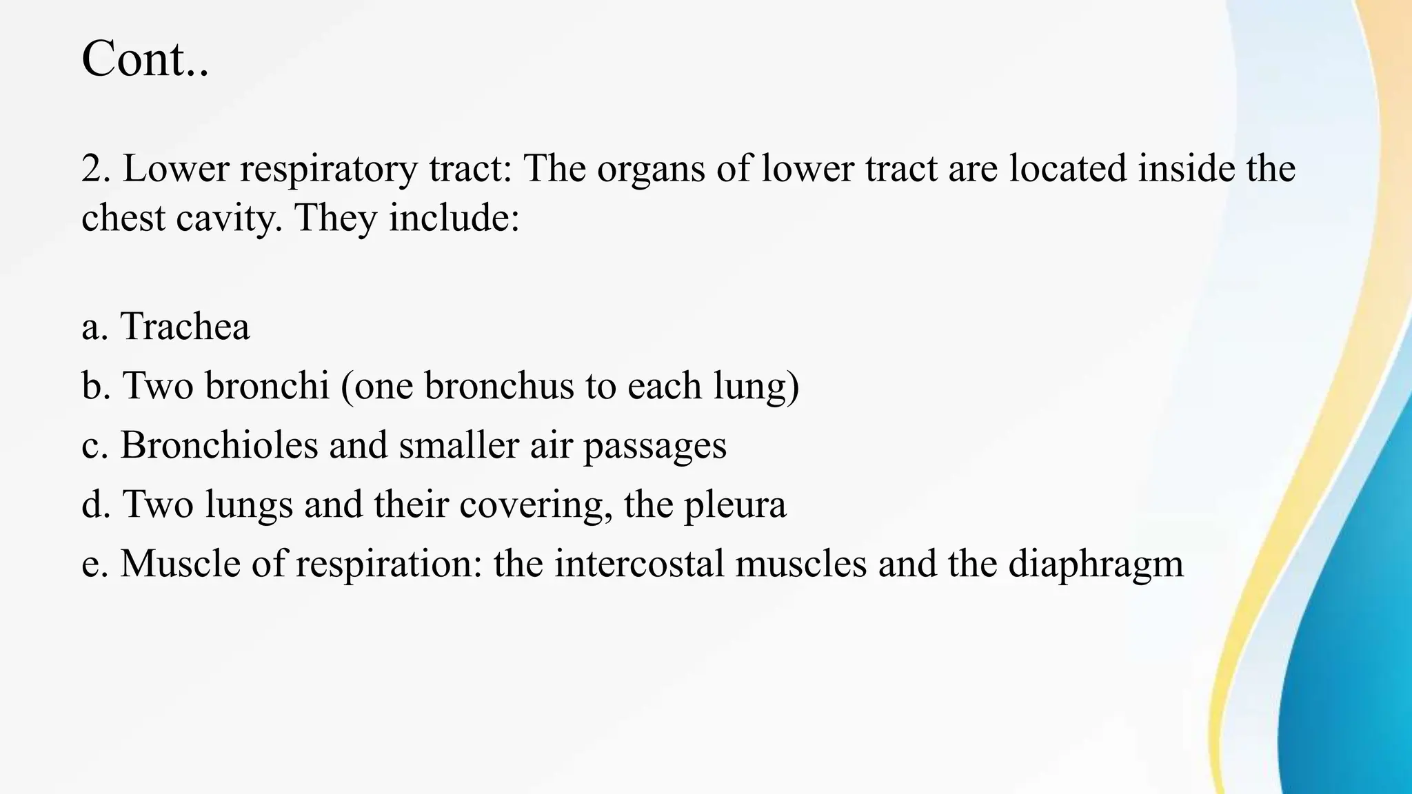 Cont..
2. Lower respiratory tract: The organs of lower tract are located inside the
chest cavity. They include:
a. Trachea
b. Two bronchi (one bronchus to each lung)
c. Bronchioles and smaller air passages
d. Two lungs and their covering, the pleura
e. Muscle of respiration: the intercostal muscles and the diaphragm
 