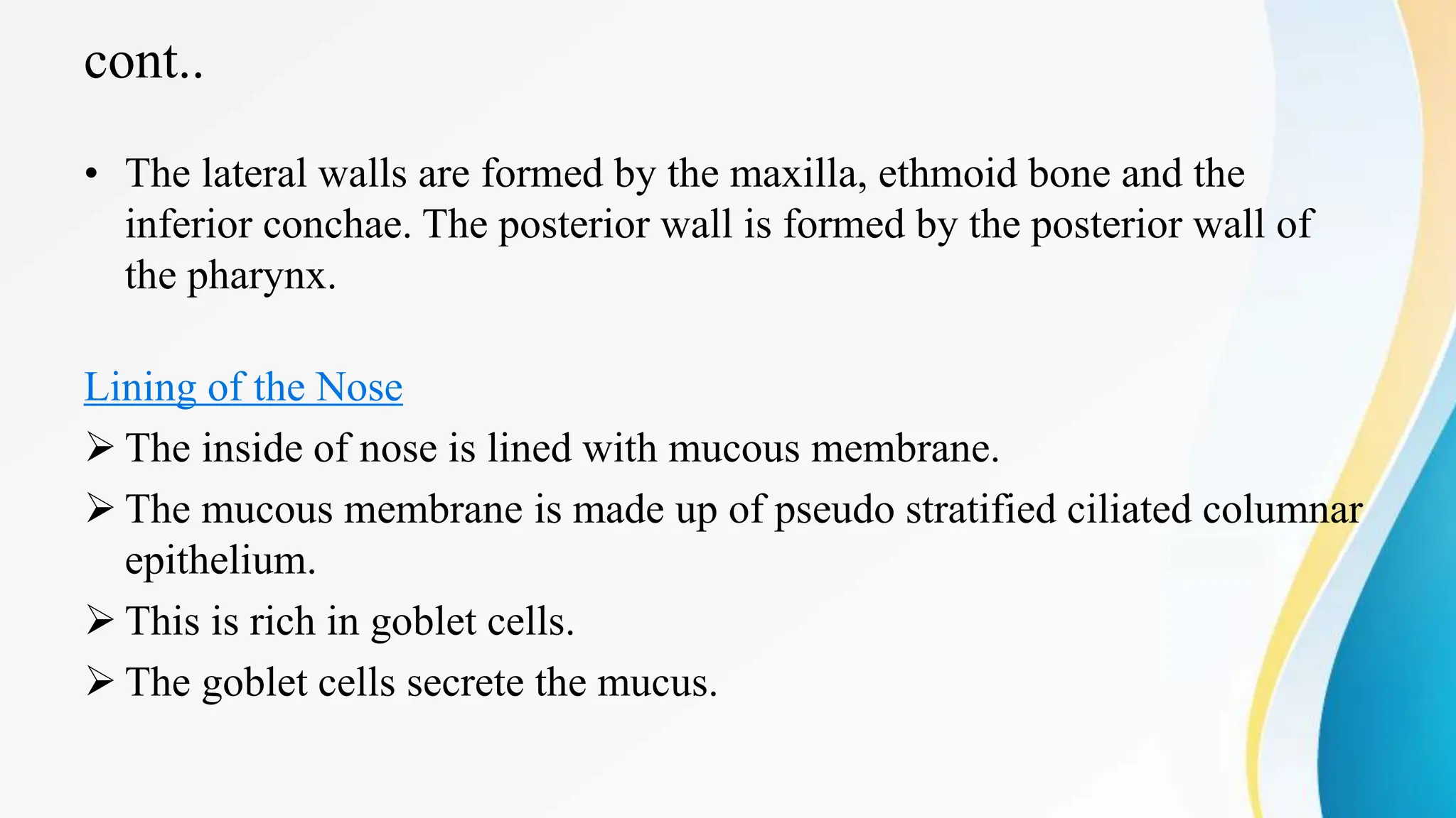 cont..
• The lateral walls are formed by the maxilla, ethmoid bone and the
inferior conchae. The posterior wall is formed by the posterior wall of
the pharynx.
Lining of the Nose
 The inside of nose is lined with mucous membrane.
 The mucous membrane is made up of pseudo stratified ciliated columnar
epithelium.
 This is rich in goblet cells.
 The goblet cells secrete the mucus.
 