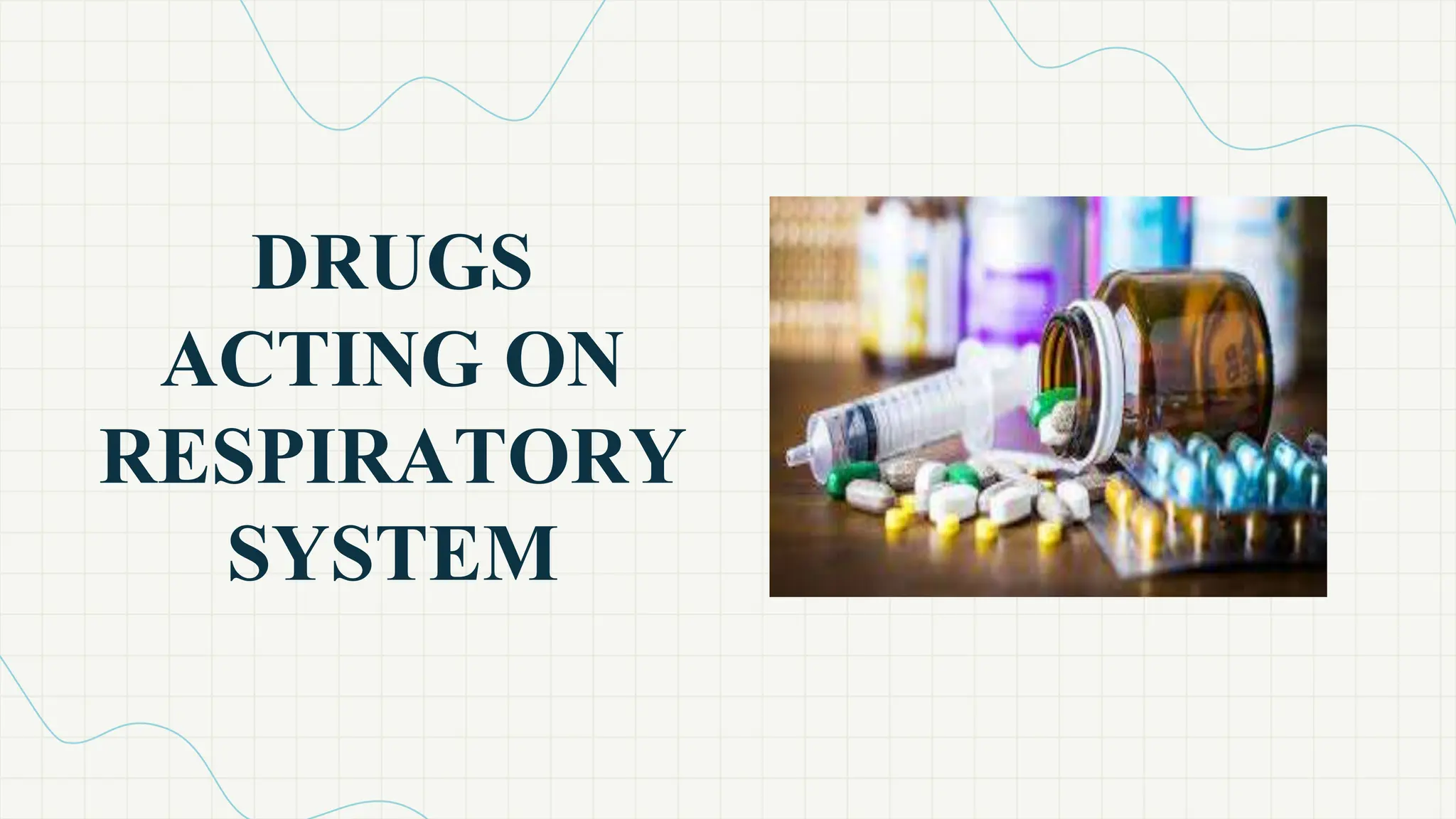 respiratory-system-human-anatomy-and-physiology-ppt
