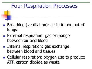  Breathing (ventilation): air in to and out of
lungs
 External respiration: gas exchange
between air and blood
 Internal respiration: gas exchange
between blood and tissues
 Cellular respiration: oxygen use to produce
ATP, carbon dioxide as waste
Four Respiration Processes
 
