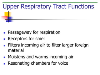  Passageway for respiration
 Receptors for smell
 Filters incoming air to filter larger foreign
material
 Moistens and warms incoming air
 Resonating chambers for voice
Upper Respiratory Tract Functions
 