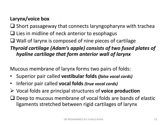 Respiratory system visual data 6