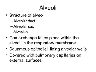 Alveoli
• Structure of alveoli
– Alveolar duct
– Alveolar sac
– Alveolus
• Gas exchange takes place within the
alveoli in the respiratory membrane
• Squamous epithelial lining alveolar walls
• Covered with pulmonary capillaries on
external surfaces
 
