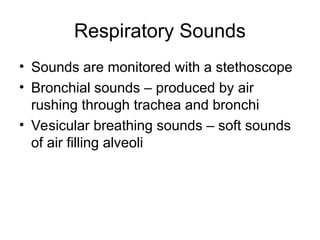Respiratory Sounds
• Sounds are monitored with a stethoscope
• Bronchial sounds – produced by air
rushing through trachea and bronchi
• Vesicular breathing sounds – soft sounds
of air filling alveoli
 