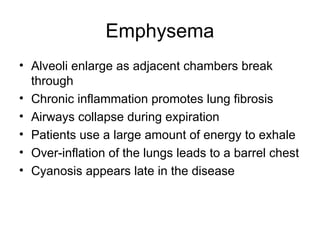 Emphysema
• Alveoli enlarge as adjacent chambers break
through
• Chronic inflammation promotes lung fibrosis
• Airways collapse during expiration
• Patients use a large amount of energy to exhale
• Over-inflation of the lungs leads to a barrel chest
• Cyanosis appears late in the disease
 