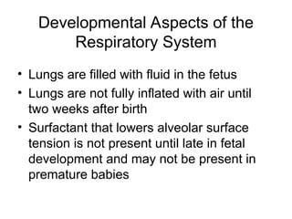 Developmental Aspects of the
Respiratory System
• Lungs are filled with fluid in the fetus
• Lungs are not fully inflated with air until
two weeks after birth
• Surfactant that lowers alveolar surface
tension is not present until late in fetal
development and may not be present in
premature babies
 
