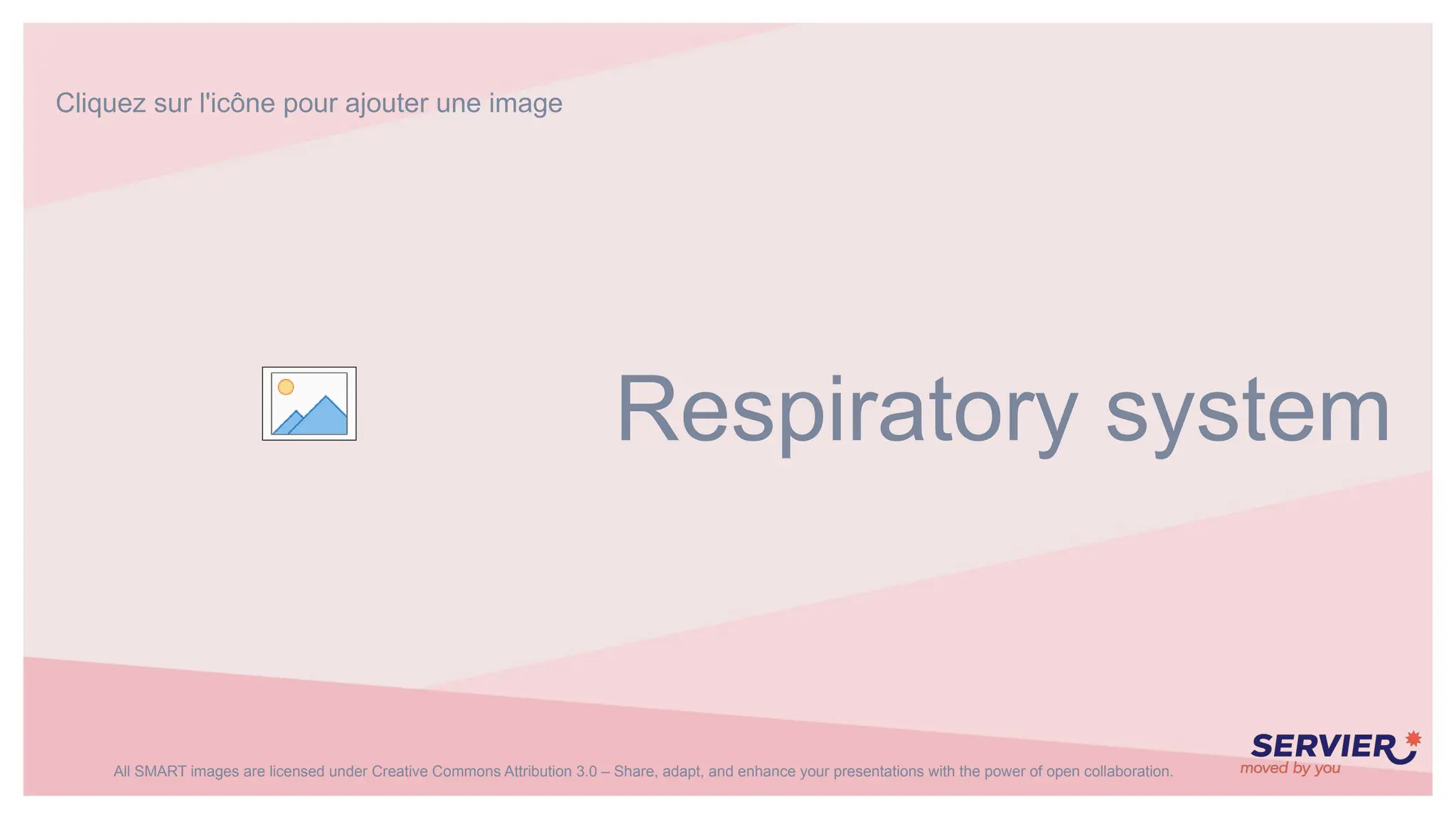 Respiratory System And Respiratory Diagrams Pptx