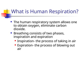 What is Human Respiration?
 The human respiratory system allows one
to obtain oxygen, eliminate carbon
dioxide.
 Breathing consists of two phases,
inspiration and expiration
 Inspiration- the process of taking in air
 Expiration- the process of blowing out
air
 