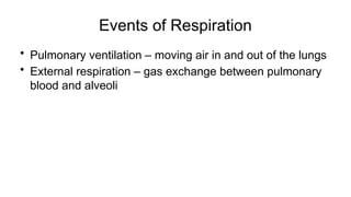 Events of Respiration
• Pulmonary ventilation – moving air in and out of the lungs
• External respiration – gas exchange between pulmonary
blood and alveoli
 