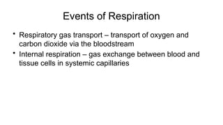 Events of Respiration
• Respiratory gas transport – transport of oxygen and
carbon dioxide via the bloodstream
• Internal respiration – gas exchange between blood and
tissue cells in systemic capillaries
 