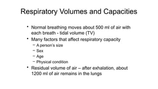 Respiratory Volumes and Capacities
• Normal breathing moves about 500 ml of air with
each breath - tidal volume (TV)
• Many factors that affect respiratory capacity
– A person’s size
– Sex
– Age
– Physical condition
• Residual volume of air – after exhalation, about
1200 ml of air remains in the lungs
 