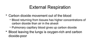 External Respiration
• Carbon dioxide movement out of the blood
– Blood returning from tissues has higher concentrations of
carbon dioxide than air in the alveoli
– Pulmonary capillary blood gives up carbon dioxide
• Blood leaving the lungs is oxygen-rich and carbon
dioxide-poor
 