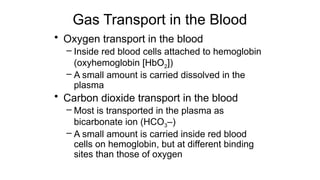 Gas Transport in the Blood
• Oxygen transport in the blood
– Inside red blood cells attached to hemoglobin
(oxyhemoglobin [HbO2])
– A small amount is carried dissolved in the
plasma
• Carbon dioxide transport in the blood
– Most is transported in the plasma as
bicarbonate ion (HCO3–)
– A small amount is carried inside red blood
cells on hemoglobin, but at different binding
sites than those of oxygen
 
