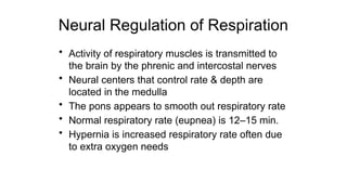 Neural Regulation of Respiration
• Activity of respiratory muscles is transmitted to
the brain by the phrenic and intercostal nerves
• Neural centers that control rate & depth are
located in the medulla
• The pons appears to smooth out respiratory rate
• Normal respiratory rate (eupnea) is 12–15 min.
• Hypernia is increased respiratory rate often due
to extra oxygen needs
 