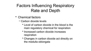 Factors Influencing Respiratory
Rate and Depth
• Chemical factors
– Carbon dioxide levels
• Level of carbon dioxide in the blood is the
main regulatory chemical for respiration
• Increased carbon dioxide increases
respiration
• Changes in carbon dioxide act directly on
the medulla oblongata
 