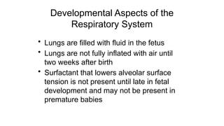 Developmental Aspects of the
Respiratory System
• Lungs are filled with fluid in the fetus
• Lungs are not fully inflated with air until
two weeks after birth
• Surfactant that lowers alveolar surface
tension is not present until late in fetal
development and may not be present in
premature babies
 