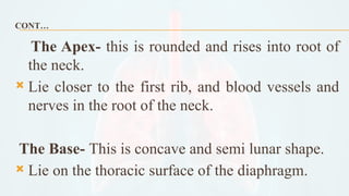 Respiratory system Anatomy and physiology | PPTX