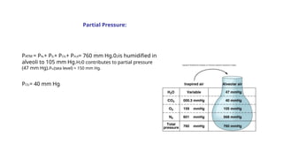 Respiratory system.pptx RESPIRATORY PHYSIOLOGY | PPTX