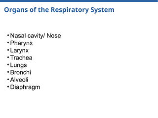 Organs of the Respiratory System
• Nasal cavity/ Nose
• Pharynx
• Larynx
• Trachea
• Lungs
• Bronchi
• Alveoli
• Diaphragm
 