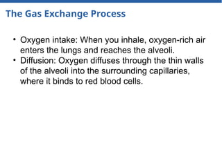 The Gas Exchange Process
• Oxygen intake: When you inhale, oxygen-rich air
enters the lungs and reaches the alveoli.
• Diffusion: Oxygen diffuses through the thin walls
of the alveoli into the surrounding capillaries,
where it binds to red blood cells.
 