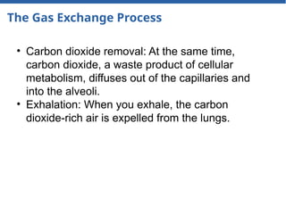 The Gas Exchange Process
• Carbon dioxide removal: At the same time,
carbon dioxide, a waste product of cellular
metabolism, diffuses out of the capillaries and
into the alveoli.
• Exhalation: When you exhale, the carbon
dioxide-rich air is expelled from the lungs.
 