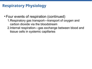 Respiratory Physiology
• Four events of respiration (continued)
1.Respiratory gas transport—transport of oxygen and
carbon dioxide via the bloodstream
2.Internal respiration—gas exchange between blood and
tissue cells in systemic capillaries
 
