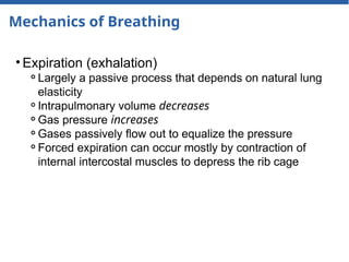 Mechanics of Breathing
• Expiration (exhalation)
⚬Largely a passive process that depends on natural lung
elasticity
⚬Intrapulmonary volume decreases
⚬Gas pressure increases
⚬Gases passively flow out to equalize the pressure
⚬Forced expiration can occur mostly by contraction of
internal intercostal muscles to depress the rib cage
 