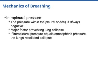 Mechanics of Breathing
• Intrapleural pressure
⚬The pressure within the pleural space) is always
negative
⚬Major factor preventing lung collapse
⚬If intrapleural pressure equals atmospheric pressure,
the lungs recoil and collapse
 