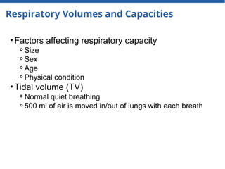 Respiratory Volumes and Capacities
• Factors affecting respiratory capacity
⚬Size
⚬Sex
⚬Age
⚬Physical condition
• Tidal volume (TV)
⚬Normal quiet breathing
⚬500 ml of air is moved in/out of lungs with each breath
 