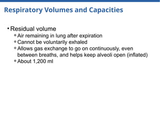 Respiratory Volumes and Capacities
• Residual volume
⚬Air remaining in lung after expiration
⚬Cannot be voluntarily exhaled
⚬Allows gas exchange to go on continuously, even
between breaths, and helps keep alveoli open (inflated)
⚬About 1,200 ml
 