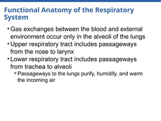 Functional Anatomy of the Respiratory
System
• Gas exchanges between the blood and external
environment occur only in the alveoli of the lungs
• Upper respiratory tract includes passageways
from the nose to larynx
• Lower respiratory tract includes passageways
from trachea to alveoli
⚬Passageways to the lungs purify, humidify, and warm
the incoming air
 