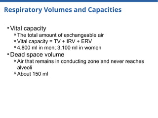 Respiratory Volumes and Capacities
• Vital capacity
⚬The total amount of exchangeable air
⚬Vital capacity = TV + IRV + ERV
⚬4,800 ml in men; 3,100 ml in women
• Dead space volume
⚬Air that remains in conducting zone and never reaches
alveoli
⚬About 150 ml
 