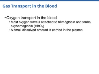 Gas Transport in the Blood
• Oxygen transport in the blood
⚬Most oxygen travels attached to hemoglobin and forms
oxyhemoglobin (HbO )
₂
⚬A small dissolved amount is carried in the plasma
 