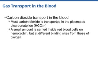 Gas Transport in the Blood
• Carbon dioxide transport in the blood
⚬Most carbon dioxide is transported in the plasma as
bicarbonate ion (HCO –)
₃
⚬A small amount is carried inside red blood cells on
hemoglobin, but at different binding sites from those of
oxygen
 