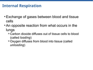 Internal Respiration
• Exchange of gases between blood and tissue
cells
• An opposite reaction from what occurs in the
lungs
⚬Carbon dioxide diffuses out of tissue cells to blood
(called loading)
⚬Oxygen diffuses from blood into tissue (called
unloading)
 