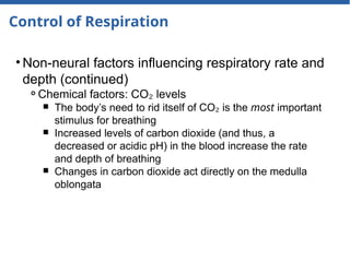 Control of Respiration
• Non-neural factors influencing respiratory rate and
depth (continued)
⚬Chemical factors: CO levels
₂
￭ The body’s need to rid itself of CO is the
₂ most important
stimulus for breathing
￭ Increased levels of carbon dioxide (and thus, a
decreased or acidic pH) in the blood increase the rate
and depth of breathing
￭ Changes in carbon dioxide act directly on the medulla
oblongata
 