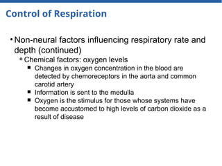 Control of Respiration
• Non-neural factors influencing respiratory rate and
depth (continued)
⚬Chemical factors: oxygen levels
￭ Changes in oxygen concentration in the blood are
detected by chemoreceptors in the aorta and common
carotid artery
￭ Information is sent to the medulla
￭ Oxygen is the stimulus for those whose systems have
become accustomed to high levels of carbon dioxide as a
result of disease
 