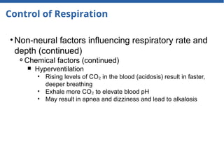 Control of Respiration
• Non-neural factors influencing respiratory rate and
depth (continued)
⚬Chemical factors (continued)
￭ Hyperventilation
• Rising levels of CO in the blood (acidosis) result in faster,
₂
deeper breathing
• Exhale more CO to elevate blood pH
₂
• May result in apnea and dizziness and lead to alkalosis
 