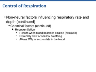 Control of Respiration
• Non-neural factors influencing respiratory rate and
depth (continued)
⚬Chemical factors (continued)
￭ Hypoventilation
• Results when blood becomes alkaline (alkalosis)
• Extremely slow or shallow breathing
• Allows CO to accumulate in the blood
₂
 